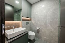 Irwell Hill Residences (D9), Apartment #585012861